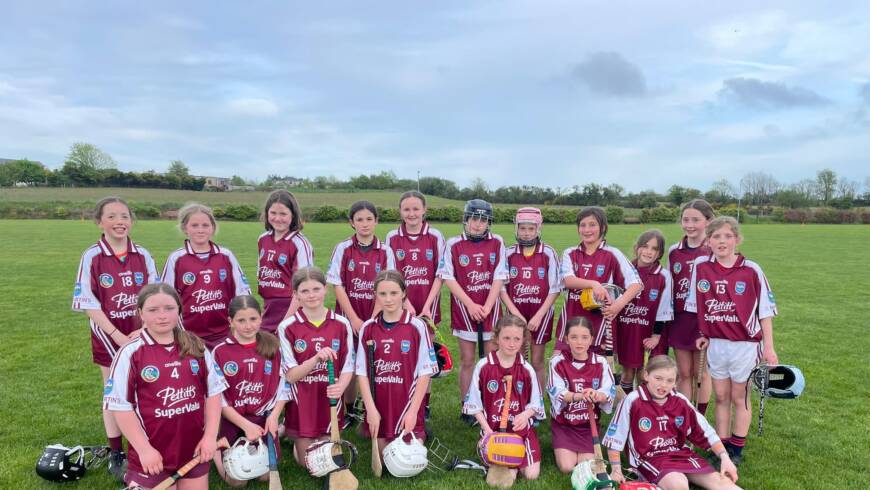 Camogie Results