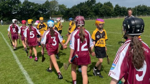 Camogie Update